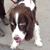 Steve Haughton's profile image