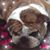 Heidi Lynn Miller's profile image
