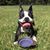 Lisa Bishop-Akins's profile image