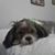 Esther Yanez's profile image