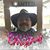 Ken Beachy's profile image