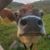 Mary Dooley Smith's profile image