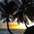 Valerie Martinek's profile image