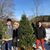Laurette Anne's profile image