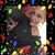 Krista Seer's profile image