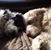 Cindy Cuerrier's profile image