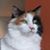 Lori Biletnikoff's profile image