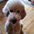 Tara Denean's profile image