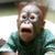 Thodoris Trigonis's profile image