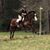 Sibylle Lashley's profile image