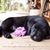 April Orme's profile image