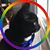 Diane Dcn Nothaft's profile image