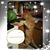 Phyllis Peters's profile image