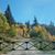 Kimberly Sitterud Gundersen's profile image