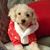 Olga Almendarez's profile image