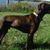 Robert S. Bruns's profile image