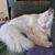 Juell Mabry Brandt's profile image
