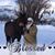 Manitowah Redhawk DeWeert's profile image