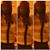 Dread Lpeezy Passmore's profile image