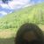 Shirley Jones Schillaci's profile image