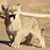 Elizabeth Yott's profile image