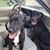 Darrell Rigsby's profile image