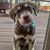 Levelle Blanchard's profile image