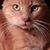 Donna Zentz's profile image