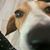 Amy Lynn Mongan's profile image