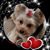 Kathy Lang LaGraff's profile image