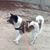 Tracey Glasson's profile image