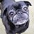 Erica Erickson Wiltbank's profile image