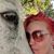 Erin Wood's profile image
