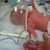 Stacie Finnicum's profile image