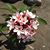 Anna Marie Soto's profile image