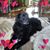 Ken Fehlner's profile image