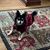 Gwyn Anne Chase's profile image