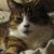 Vince Szarko Jr.'s profile image