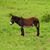 Pablo Hdz Climent's profile image