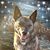 Darla Jean's profile image
