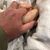 Jay Doughtie's profile image