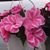 Eileen Fackler's profile image