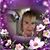 Angie Lewis's profile image