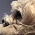 Melissa Smith's profile image