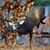 Toby Meyer's profile image