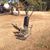 Gallory Sales's profile image