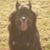 Margo French's profile image