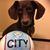 Brenda Gernay's profile image