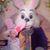 Pamela Rider's profile image