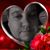 Bradley Chichester's profile image